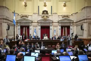 El Senado sesiona con la Ley de Salud Mental en duda y el incentivo para inversiones millonarias