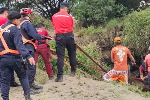 Rescataron a una yegua que hab�a ca�do en un pozo en la Capital